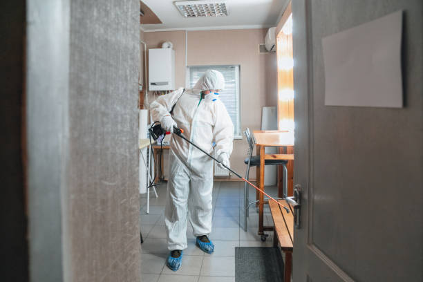 Best Mold Documentation for Insurance Claims  in Forest Lake, MN