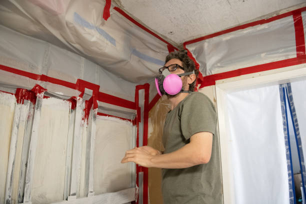 Best Airborne Mold Testing  in Forest Lake, MN