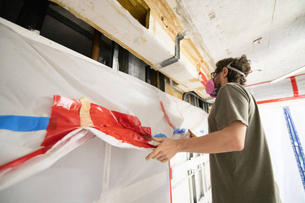 Best Basement Mold Removal  in Forest Lake, MN