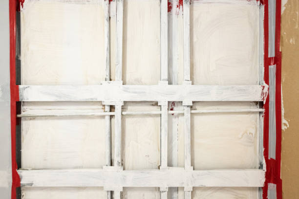 Best Mold Odor Removal Services  in Forest Lake, MN