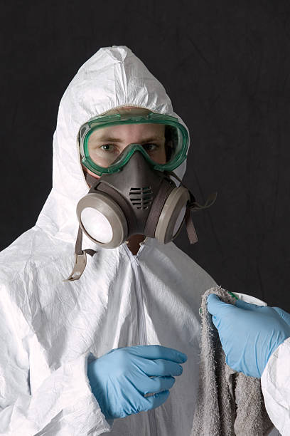 Best Asbestos and Lead Testing During Mold Inspection  in Forest Lake, MN